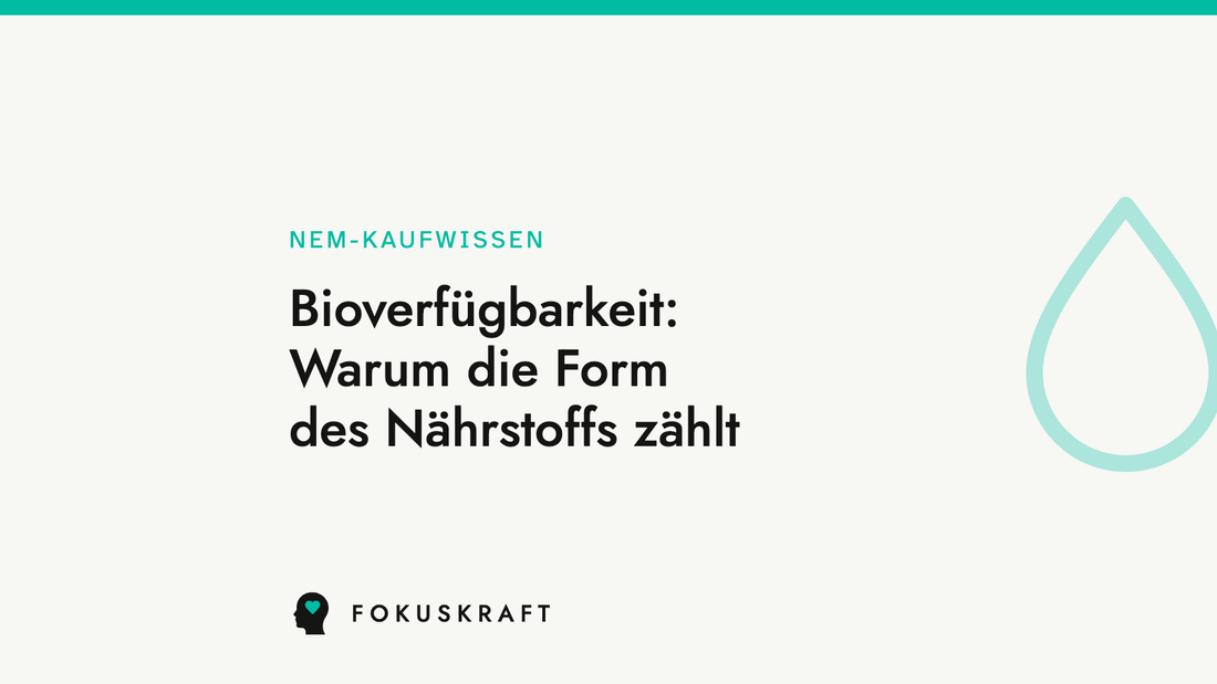 Artikel-Cover aus dem FOKUSKRAFT Wissensbereich, Rubrik NEM-Kaufwissen, mit dem Titel des Beitrags zur Bioverfügbarkeit.